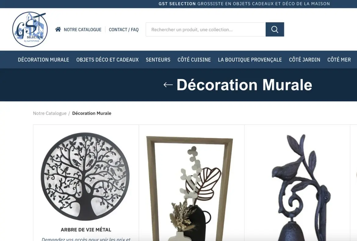 Capture d'écran du site e-commerce Gst Selection